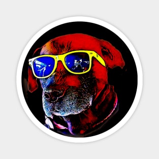 cool dog in sunglasses Magnet